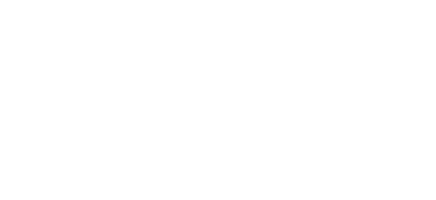 Logo anpada blanco